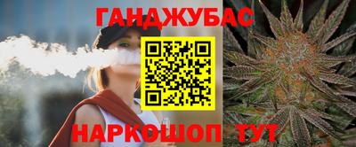 шишки Будённовск
