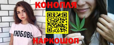 шишки Будённовск