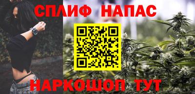 шишки Будённовск