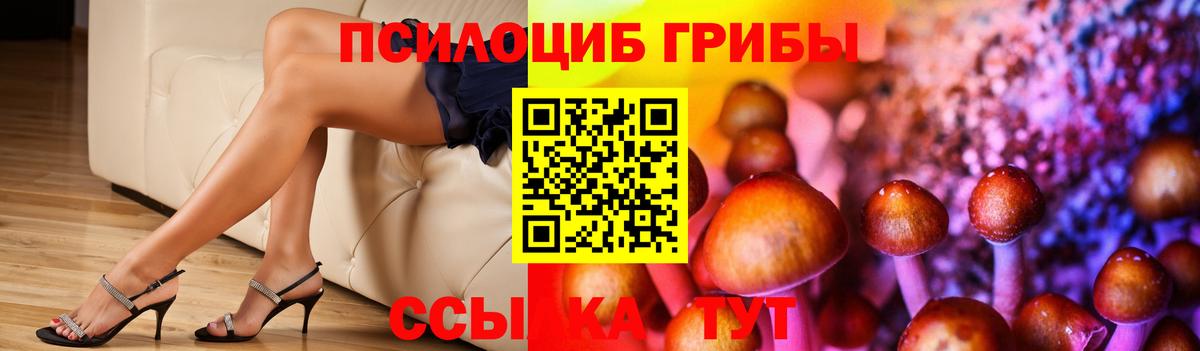 Галлюциногенные грибы Psilocybe Тюмень